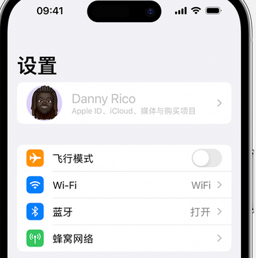 曲靖appleID维修服务iPhone设置中Apple ID显示为灰色无法使用 