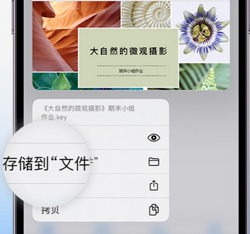 曲靖apple维修中心分享iPhone文件应用中存储和找到下载文件