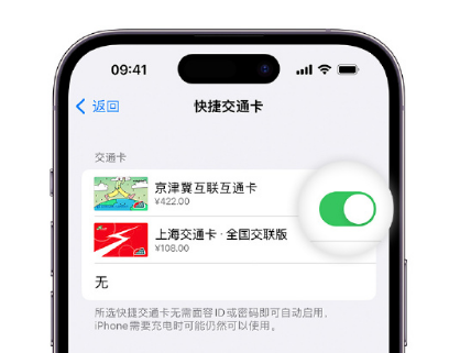 曲靖apple维修点分享iPhone上更换Apple Pay快捷交通卡手绘卡面 