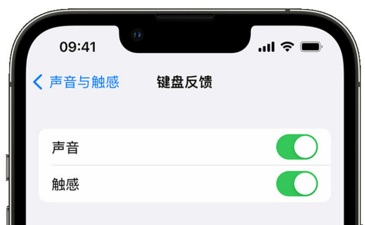 曲靖苹果手机维修分享iPhone 14触感键盘使用方法 