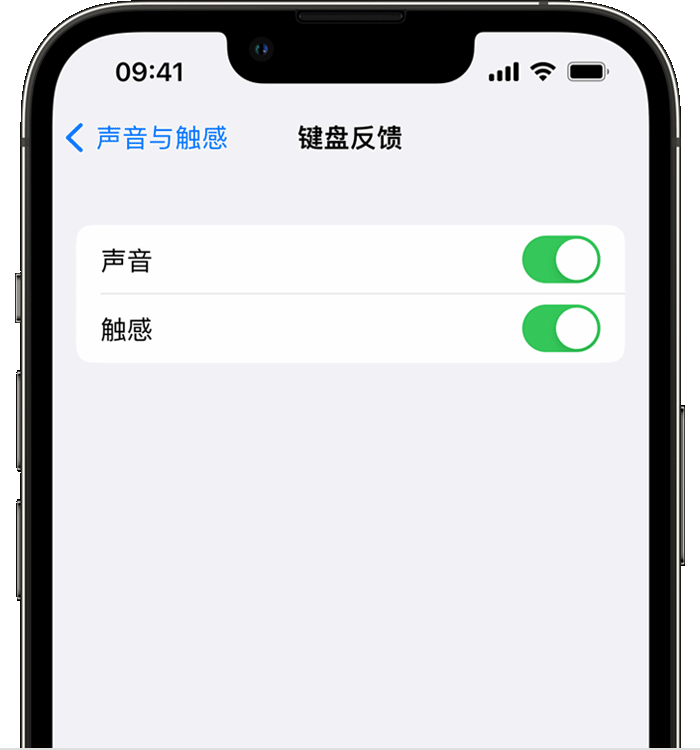 曲靖苹果14维修店分享如何在 iPhone 14 机型中使用触感键盘 