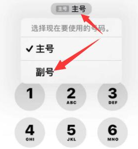 曲靖苹果14维修店分享iPhone 14 Pro Max使用副卡打电话的方法 