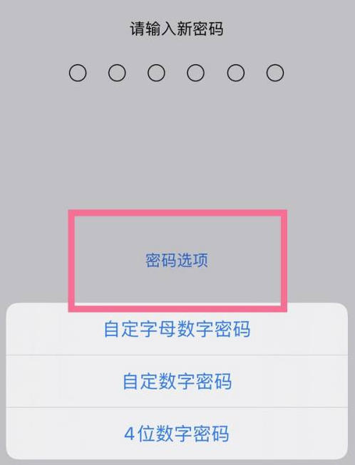 曲靖苹果14维修分享iPhone 14plus设置密码的方法 