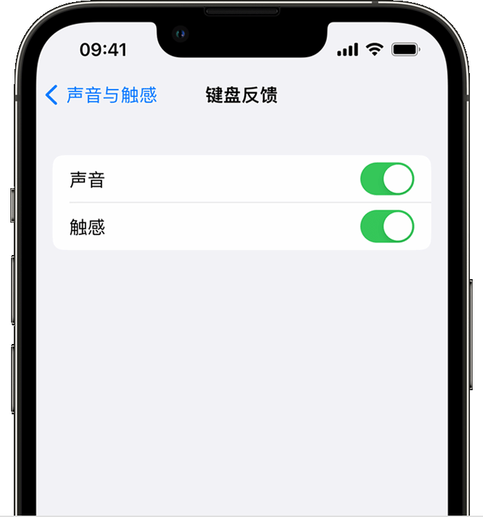 曲靖苹果14维修分享iPhone 14 系列机型如何开启键盘声音或触感反馈 