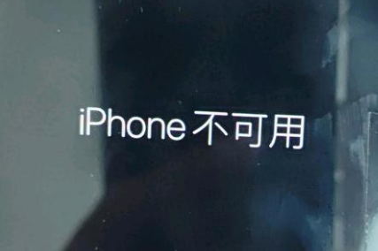 曲靖苹果服务网点分享锁屏界面显示“iPhone 不可用”如何解决 