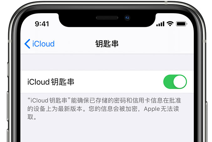 曲靖苹果手机维修分享在 iPhone 上开启 iCloud 钥匙串之后会储存哪些信息 