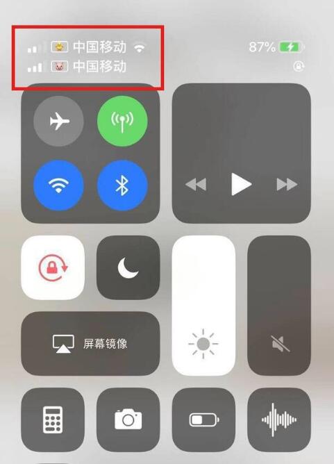 曲靖苹果手机维修分享为 iPhone 12 双卡设置标签 