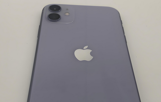 曲靖苹果11系统维修分享iPhone11手机系统崩溃无法开机如何解决 